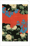 Illustration of Red and Black Design with Daisies by Anonymous