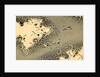 Illustration of Cranes Flying in Grey Clouds by Anonymous
