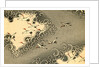 Illustration of Cranes Flying in Grey Clouds by Anonymous