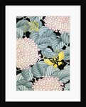 Illustration of Hydrangeas and Butterflies by Anonymous