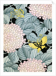 Illustration of Hydrangeas and Butterflies by Anonymous