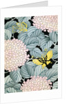 Illustration of Hydrangeas and Butterflies by Anonymous