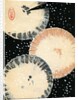 Illustration of Three Umbrellas in Snow by Anonymous