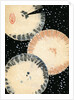 Illustration of Three Umbrellas in Snow by Anonymous