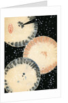 Illustration of Three Umbrellas in Snow by Anonymous