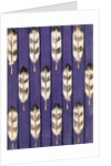 Illustration of Feathers on a Lavender Geometric Background by Anonymous