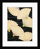 Illustration of White Fans on a Black Background by Anonymous