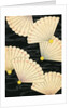 Illustration of White Fans on a Black Background by Anonymous