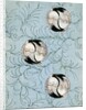 Illustration of Cranes Forming Balls on Light Blue Background by Anonymous