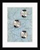 Illustration of Cranes Forming Balls on Light Blue Background by Anonymous