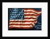 The Glorious Fourth Postcard with American Flag by Anonymous