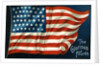 The Glorious Fourth Postcard with American Flag by Anonymous