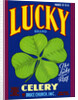 Lucky Brand Celery Crate Label by Anonymous