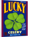 Lucky Brand Celery Crate Label by Anonymous