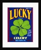 Lucky Brand Celery Crate Label by Anonymous