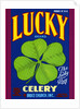 Lucky Brand Celery Crate Label by Anonymous