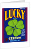 Lucky Brand Celery Crate Label by Anonymous