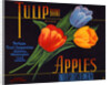 Tulip Brand Apples Fruit Crate Label by Anonymous