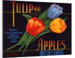 Tulip Brand Apples Fruit Crate Label by Anonymous