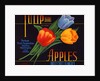 Tulip Brand Apples Fruit Crate Label by Anonymous