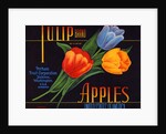 Tulip Brand Apples Fruit Crate Label by Anonymous