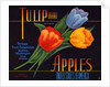 Tulip Brand Apples Fruit Crate Label by Anonymous