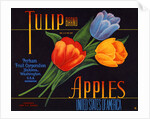 Tulip Brand Apples Fruit Crate Label by Anonymous