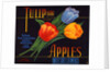 Tulip Brand Apples Fruit Crate Label by Anonymous