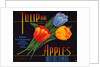 Tulip Brand Apples Fruit Crate Label by Anonymous