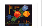 Tulip Brand Apples Fruit Crate Label by Anonymous