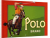 Polo Brand Fruit Crate Label by Anonymous