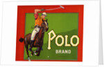 Polo Brand Fruit Crate Label by Anonymous