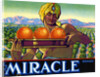 Miracle Brand Fruit Crate Label by Anonymous