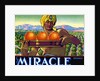 Miracle Brand Fruit Crate Label by Anonymous