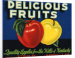 Delicious Fruits Fruit Crate Label by Anonymous