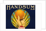 Handsum Brand Fruit Crate Label by Anonymous