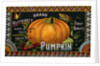 Butterfly Brand Golden Pumpkin Product Label by Anonymous