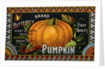 Butterfly Brand Golden Pumpkin Product Label by Anonymous