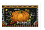 Butterfly Brand Golden Pumpkin Product Label by Anonymous