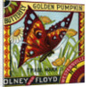 Butterfly Golden Pumpkin Product Label by Anonymous