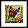 Butterfly Golden Pumpkin Product Label by Anonymous