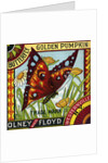 Butterfly Golden Pumpkin Product Label by Anonymous