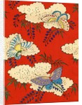 Illustration of Butterflies on Red and White Background by Anonymous