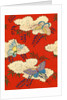 Illustration of Butterflies on Red and White Background by Anonymous
