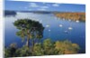 Sailboats Anchored on River by Anonymous