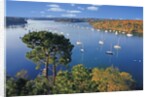 Sailboats Anchored on River by Anonymous