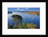 Sailboats Anchored on River by Anonymous