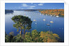 Sailboats Anchored on River by Anonymous