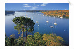 Sailboats Anchored on River by Anonymous