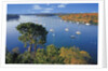 Sailboats Anchored on River by Anonymous